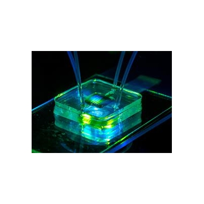 Rochester researchers pursue quick ways to detect COVID-19—and better understand it