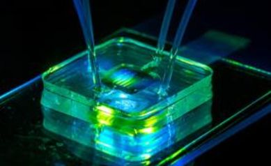 Rochester researchers pursue quick ways to detect COVID-19—and better understand it