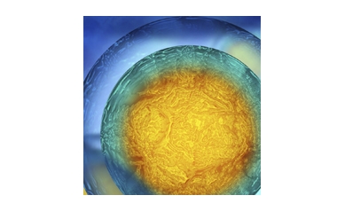 UR Ranks Ninth for NIH-Funded Oral Health Research