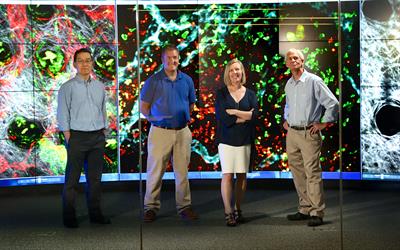 Minsoo Kim, David Topham, Deborah Fowell, James Miller