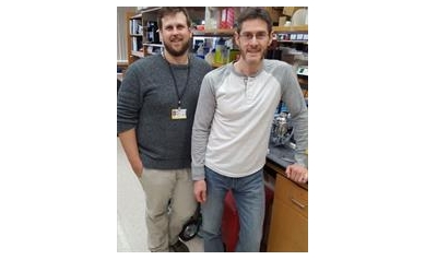 Study: Innovative Pancreatic Cancer Treatment May Rev Up Immune System