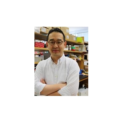 Cancer Immunotherapy: Researchers Earn NIH Grant to Improve T-Cell Attack