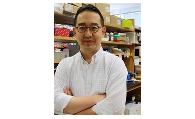 Cancer Immunotherapy: Researchers Earn NIH Grant to Improve T-Cell Attack