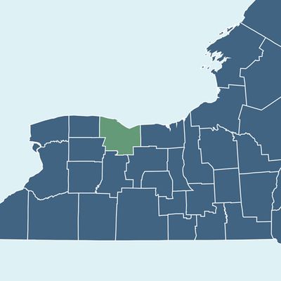 Statement on Guidelines for Resuming Elective Outpatient Treatments