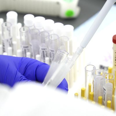 UR Medicine to Begin COVID-19 Antibody Testing Monday, June 1