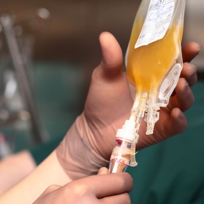 URMC Study Tests if COVID-19 Convalescent Plasma Can Treat, Prevent Infection 