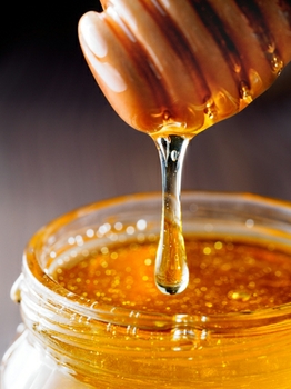 honey-web
