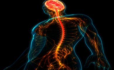 Researchers Focus on Human Cells for Spinal Cord Injury Repair