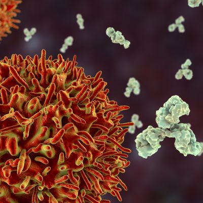 Can the Common Cold Help Protect You from COVID-19?