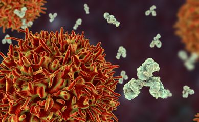 Can the Common Cold Help Protect You from COVID-19?