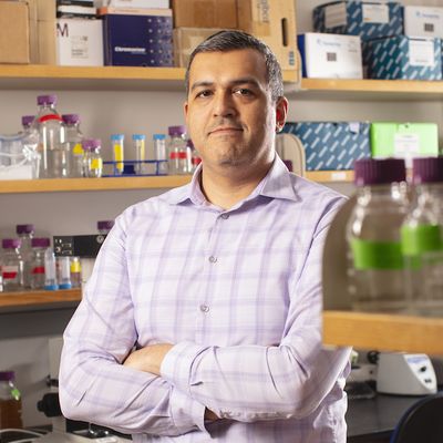 Fresh Faces, New Energy: Stephano Mello, Ph.D.