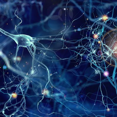 Beneath the Surface of Fragile X Syndrome: Study Sheds Light on What’s Happening in Nerve Cells 
