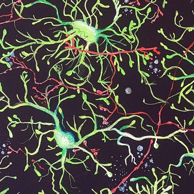 Postdoctoral Spotlight: Rianne Stowell, Ph.D.