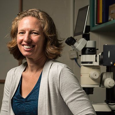 Q&A with Farran Briggs, Ph.D.