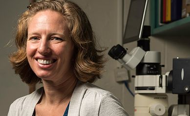 Q&A with Farran Briggs, Ph.D.