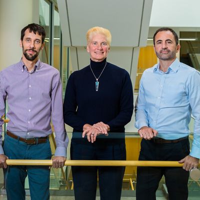 3 Engineers Walk into a Cocktail Party