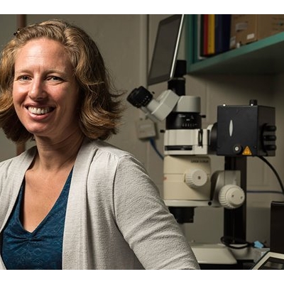 Professor Studies Complex Brain Networks Involved in Vision