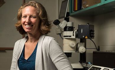 Professor Studies Complex Brain Networks Involved in Vision