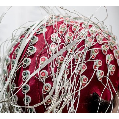 Brain Signal Indicates When You Understand What You’ve Been Told
