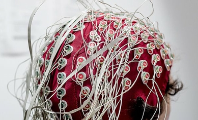 Brain Signal Indicates When You Understand What You’ve Been Told
