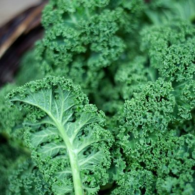 Arugula and Kale Salad with Mustard Vinaigrette