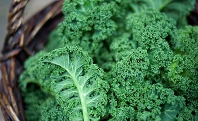 Arugula and Kale Salad with Mustard Vinaigrette