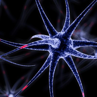 Multiple sclerosis drug improves memory in mice modeling Alzheimer’s disease 