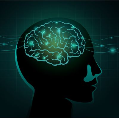 Changes in the brain hinder addiction recovery in people who are HIV-positive