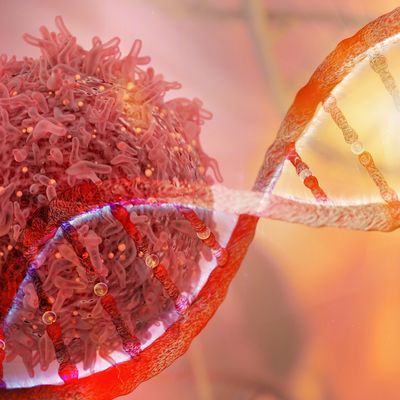 DNA strand and Cancer Cell