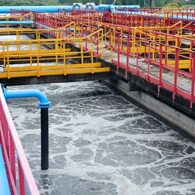 Wastewater Surveillance Effective in Efforts to Detect COVID on College Campuses