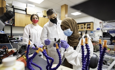 University of Rochester Medical Center neuroscience laboratory