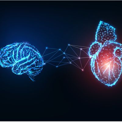 The Heart-Brain Connection: The Link Between LQTS and Seizures