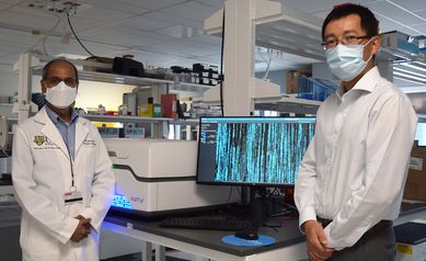 Optical Genome Mapping