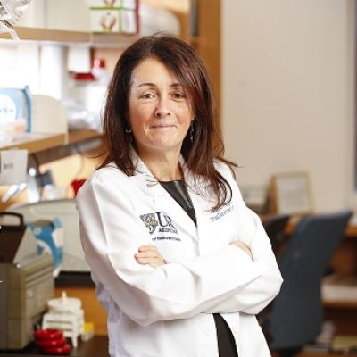 What is Ki-67 in Breast Cancer? It Can Spell the Difference in Treatment Options