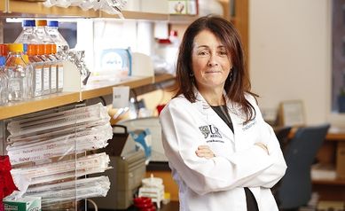 What is Ki-67 in Breast Cancer? It Can Spell the Difference in Treatment Options
