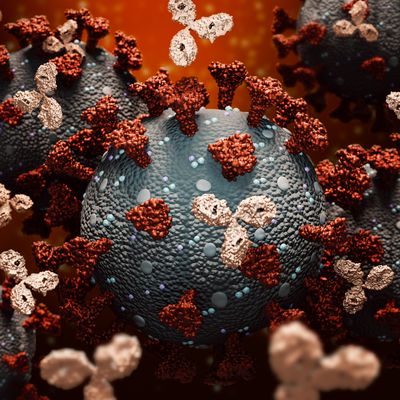 Monoclonal antibodies or immunoglobulin fighting against a group of coronavirus or covid cells 3D rendering illustration. Immunity, immune system, immunotherapy, biomedical, biology, medicine concepts. Accurate scientific render and artist vision.