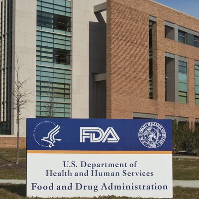 URMC Plays Key Role in New Huntington’s Drug