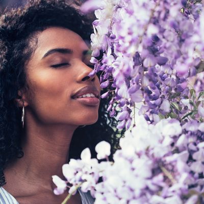 The art of smell: Research suggests the brain processes smell both like a painting and a symphony 