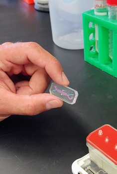 tight shot of hands holding a microchip device
