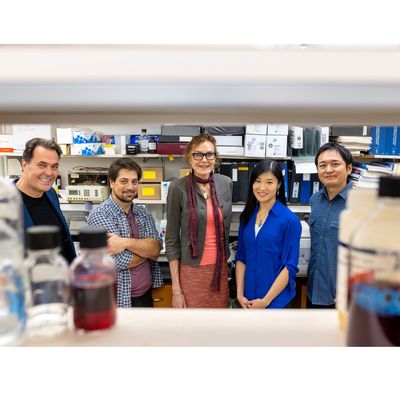 A serendipitous discovery and the choreographed dance of fragile X research