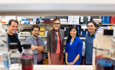 A serendipitous discovery and the choreographed dance of fragile X research