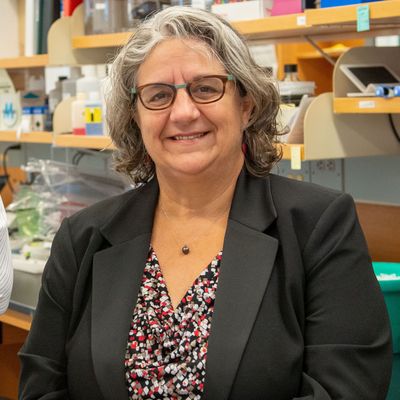 GEM Paula Vertino PhD