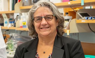 GEM Paula Vertino PhD