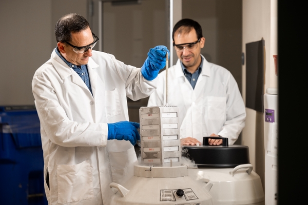 Doug Portman, PhD, and Endocrinology fellow Carlos Diaz-Balzac, MD, PhD, extract frozen research samples.