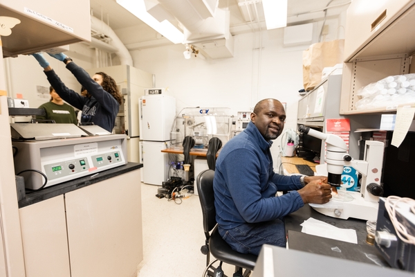 John Onukwufor, PhD, research assistant professor of Pharmacology & Physiology looks at the camera as he sits at a microscope in the lab.