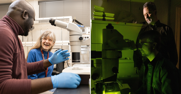From left: Postdoctoral fellow Michael Isei, PhD, and Gail Johnson, PhD. talk at microscope. Keith Nehrke, PhD, (right) assists graduate student Trae Carroll with fluorescent imaging.