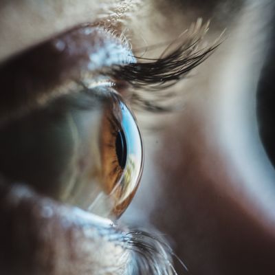 Small, involuntary eye movements help us see a stable world