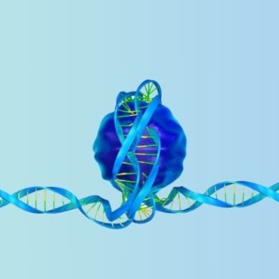 DNA_histones 1