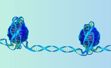 DNA_histones 1