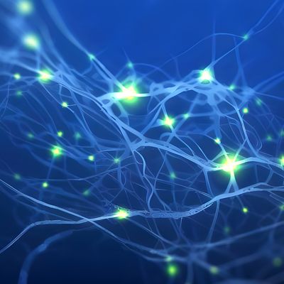 Researchers find neurons work as a team to process social interactions